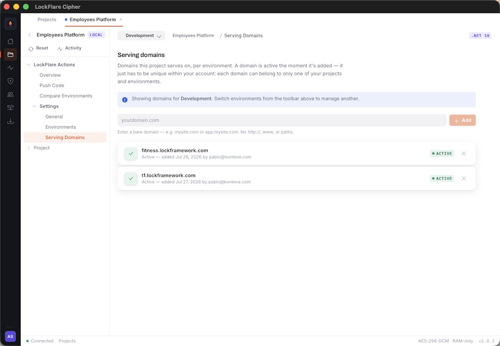 Several domains serving the same project