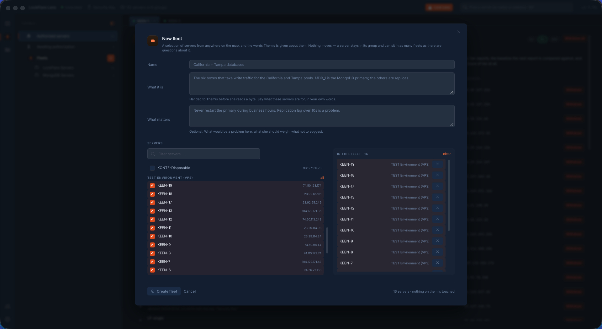 Creating a fleet in LockFlare Lens: a name, what these servers are for in your own words, what would be a problem here, and the servers picked from anywhere on the map