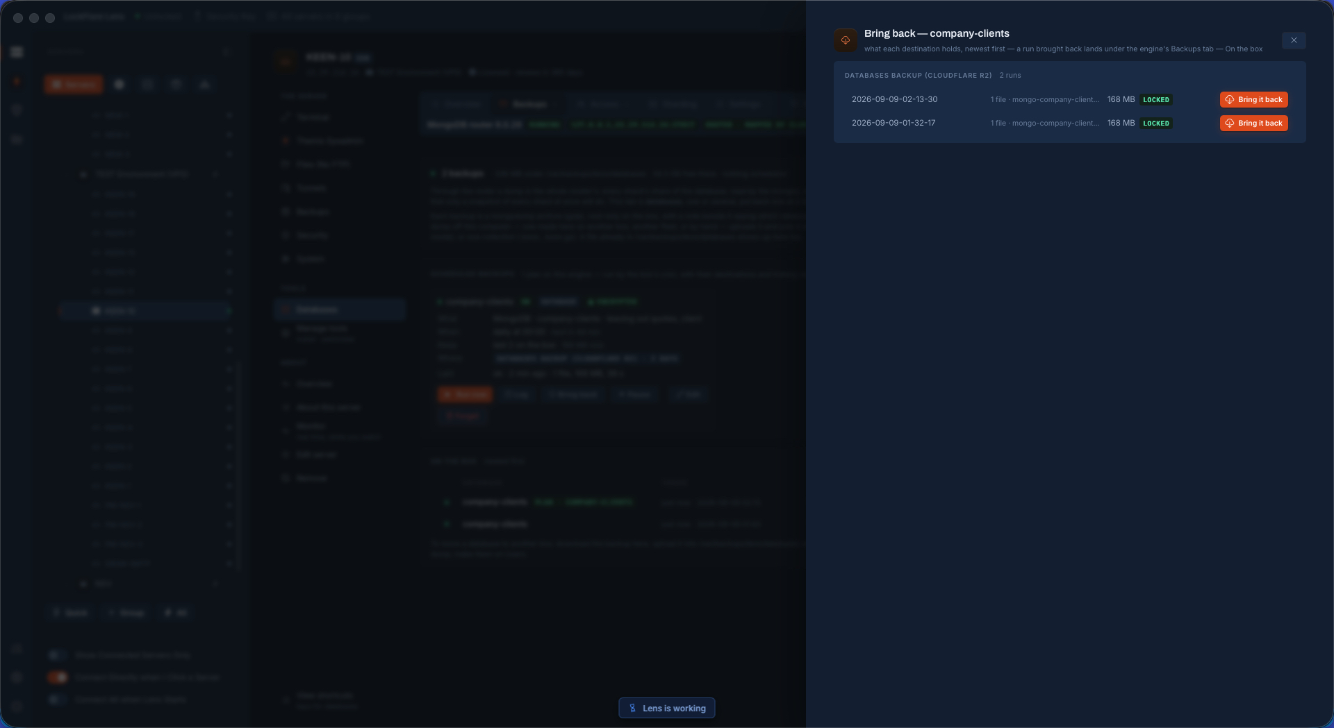 Bringing a backup back from the repository