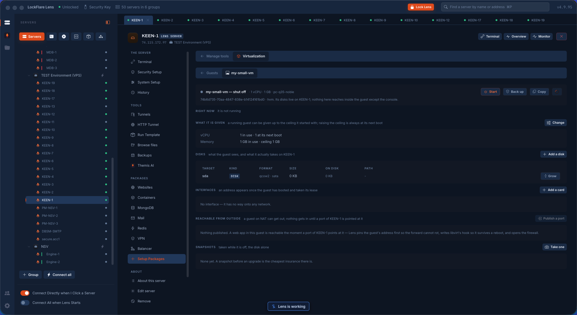 A guest's page in LockFlare Lens: what it is given now and at next boot, its disks and what they take on the host, interfaces, publishing a port, and snapshots