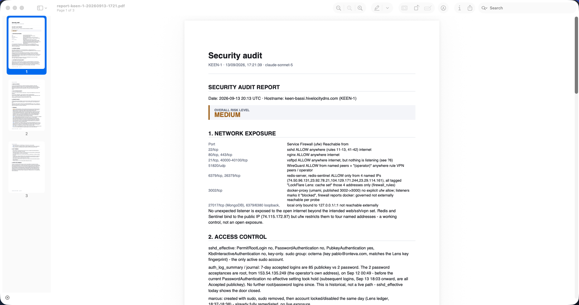 The same security audit as a PDF: three pages with findings, what was dismissed and why, and an executive summary